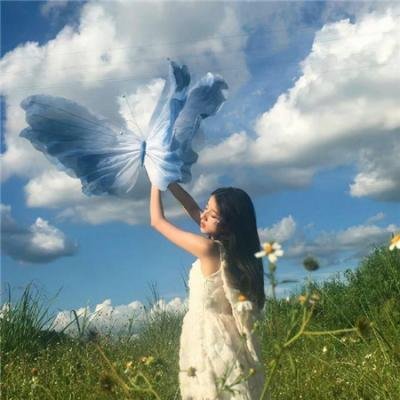 阳光下的石头